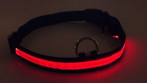 LED Haustier Hundehalsband blinkend hell Sicherheit Nachtbeleuchtung Nylon ALLE GRÖSSEN UK - Bild 13 von 14
