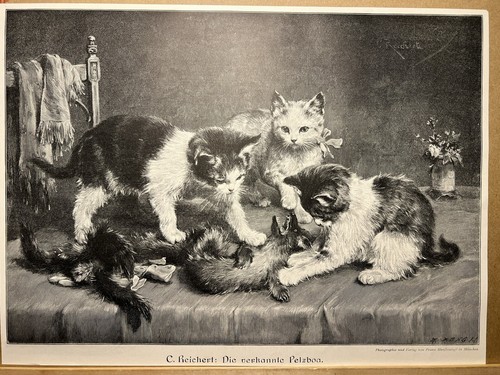 Antik Illustration 1893 Die erkannte Pelzboa Katzen Kitty Kunstdruck Holzschnitt