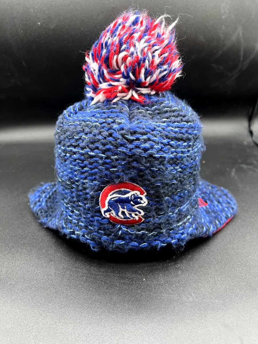 12 month 2024 winter hat