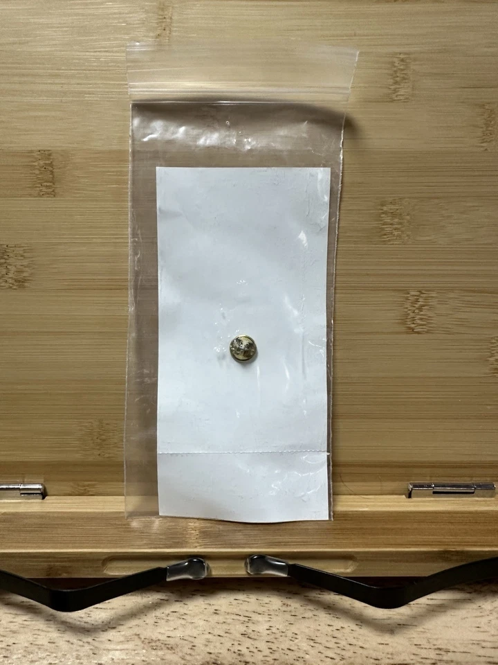 Ameritech Limited Edition Mark McGwire Record Breaking 70th Home Run Pin - Image 2 of 2