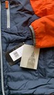 Bild 8 von 11