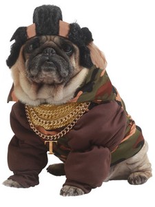 جوهرة المواهب شديد الاتقاد و الحماسة costume carnevale cane fai da te -  siprofitness.com
