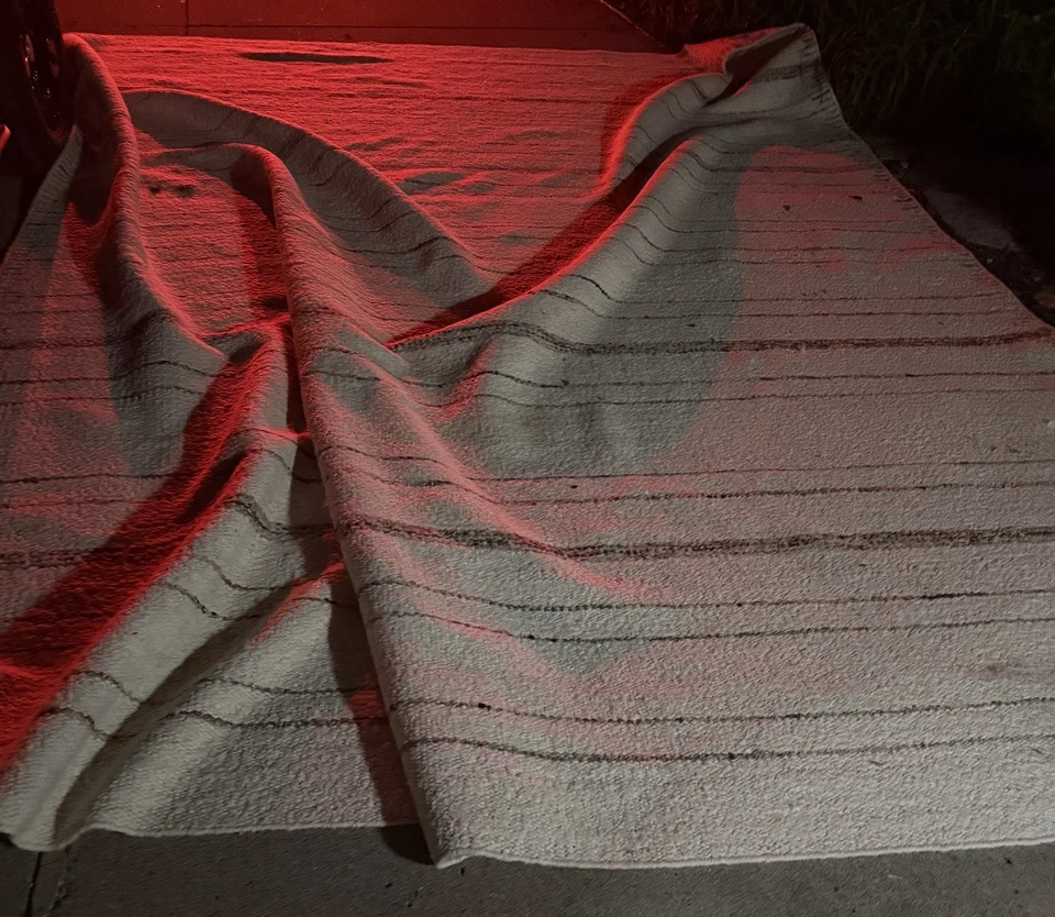 Alfombra tejida a máquina Surya Aisha AIS-2304 ¡Recogida local de Minneapolis Mn! Sin envío Foto 3 de 4