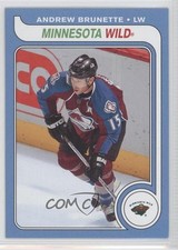 2008-09 O-Pee-Chee Retro Andrew Brunette #466 0c2