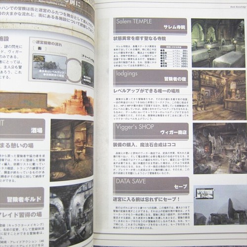 Busin Wizardry Alternative Oficial Complete Guide Book Ps2 01 Eb55