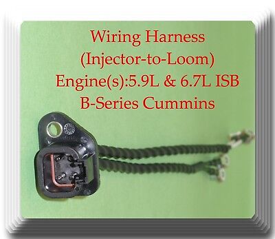 New Wiring Harness Injector To Loom For Cummins 5.9L & 6.7L ISB B-Series 3287699 