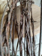 Aged Rusty Barbed Wire from 1940's - 5 Pieces