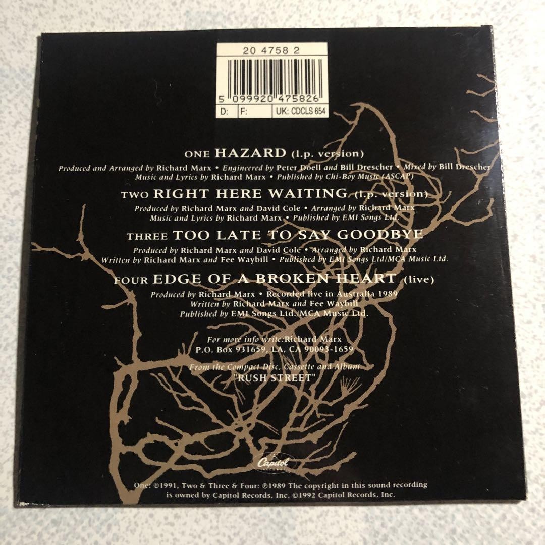 Cd Richard Marx Hazard | eBay