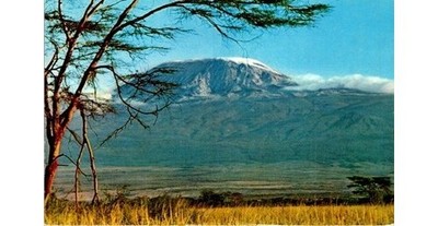 1964 Kenya Kilimanjaro Postcard: Uhuru Stamps To Senator Hubert Humphrey