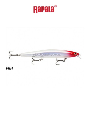 ARTIFICIALE RAPALA MAX RAP 17 CM 28 G PESCA NEW COLORS SERRA SPIGOLA SPINNING - Foto 11 di 13