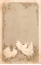 Illustratori - N°82350 - Colombe Bianche A Pavimento