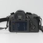 Picture 11 of 21