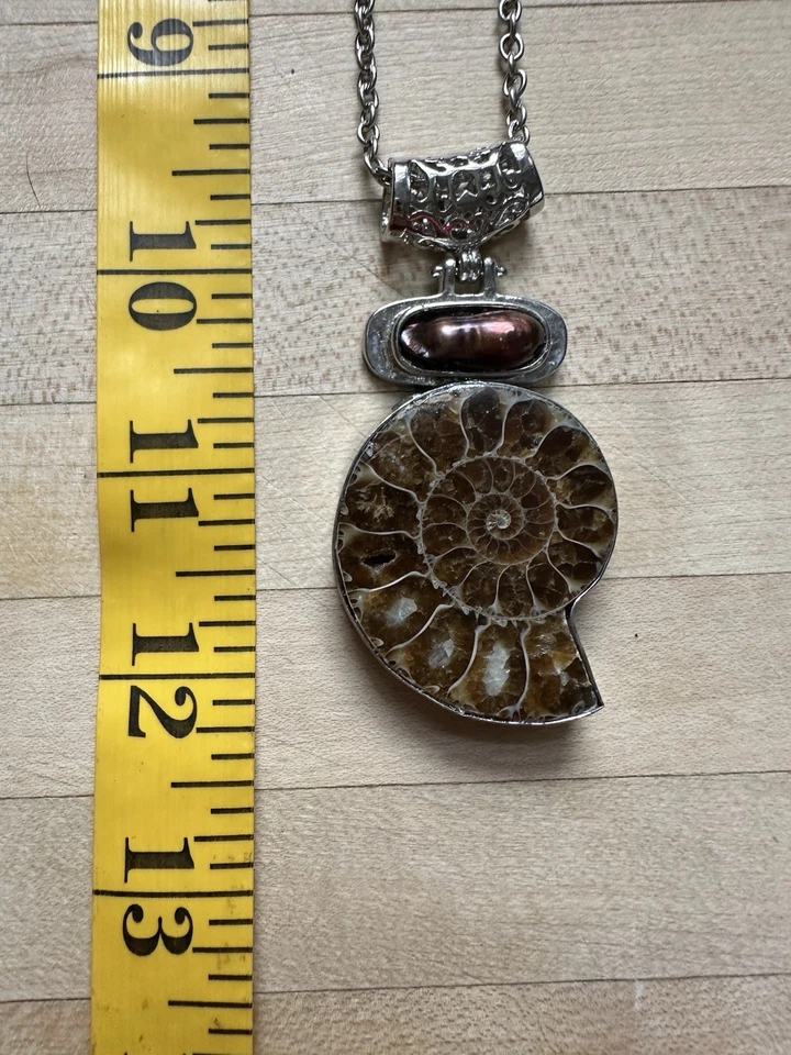 Hermoso fósil de amonita natural Foto 2 de 3