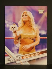 2017 Topps #100 Torrie Wilson HOF 