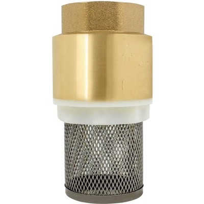 Checkventil 1/2 3/4 1 1-1/4 1-1/2 2 Zoll Gartenpumpe Strangventil