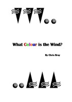 What Colour Is The Wind? Chris Bray Taschenbuch Englisch 2006 [.]