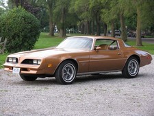  Pontiac Firebird for Sale