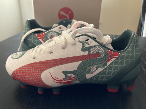 puma evospeed 4.3 it