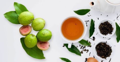 Foglie di guava secche perdita di capelli brucia grassi diabetici foglie di erbe tè biologico puro - Foto 1 di 7