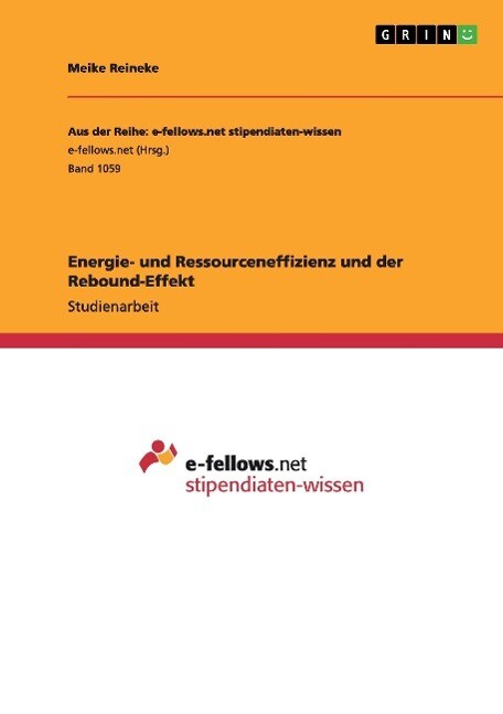 Energie- Und Ressourceneffizienz Und Der Rebound-effekt | Buch |
