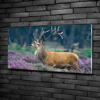 Wandbild Glas-Bild Druck auf Glas 100x50 Deko Tiere Hirsch Lavendel