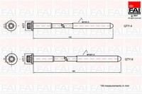 FAI AutoParts B1625 Zylinderkopfschraubensatz Passend FüR Fiat