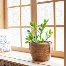 VSUDO Frosted Privacy Window Film, Geometric Diamond Pattern, Privacy Protect...