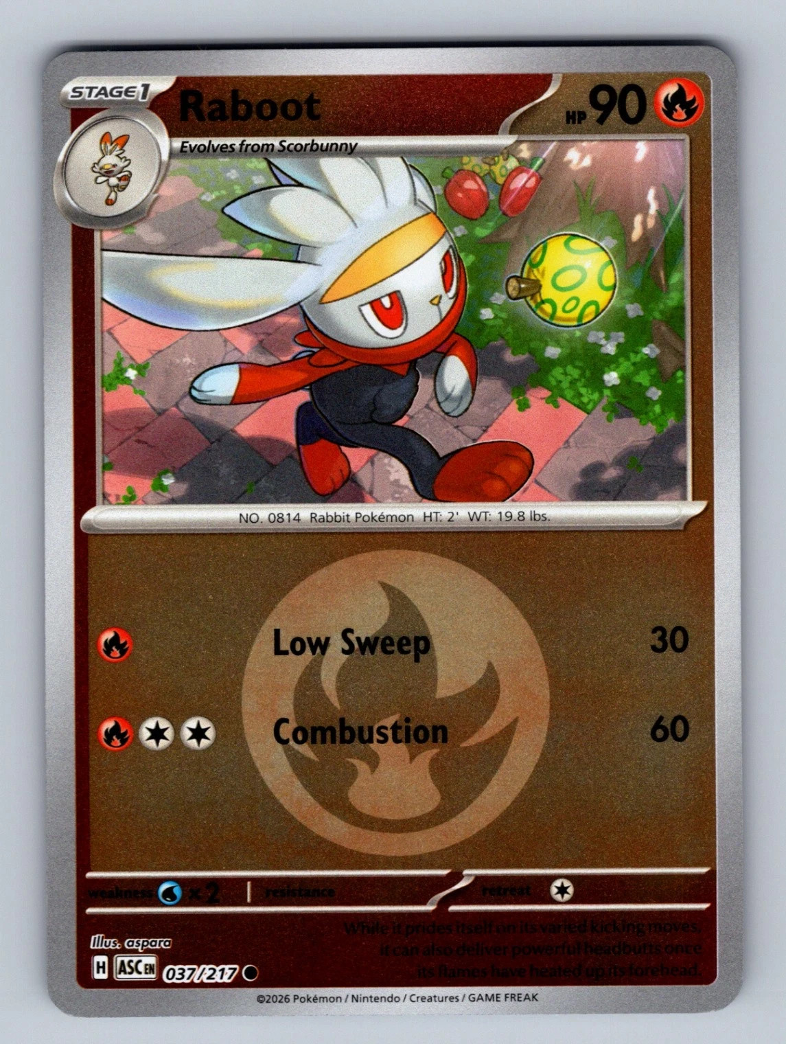 Raboot (Energy Symbol Pattern) - Ascended Heroes - 037/217 / Common NM
