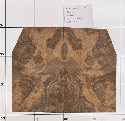 Nussbaum Maserfurnier. 2 Blätter @260 mm x 160 mm x 0,52 mm Intarsien ZEW4