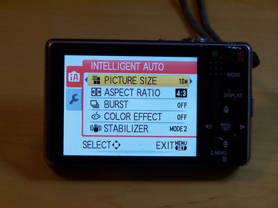 Panasonic LUMIX DMC-FX500 10.1MP Digital Camera - Silver for sale