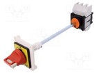1 piece, Main emergency switch-disconnector VCCF4 /E2UK