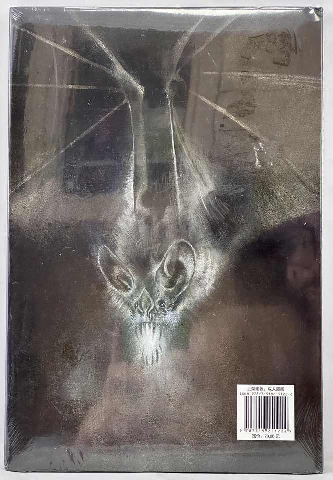 DC CHINO CHINO EDICIÓN CHINA MORRISON XIAO YAO BATMAN ARKHAM ASILO - Imagen 2 de 4