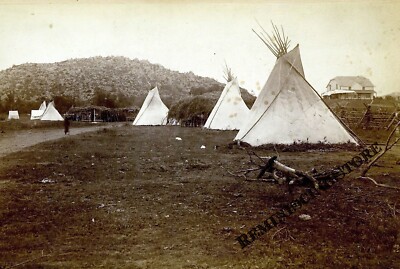 Home Of the Quanah Parker Comanche County Lawton OK 1890 Reprint