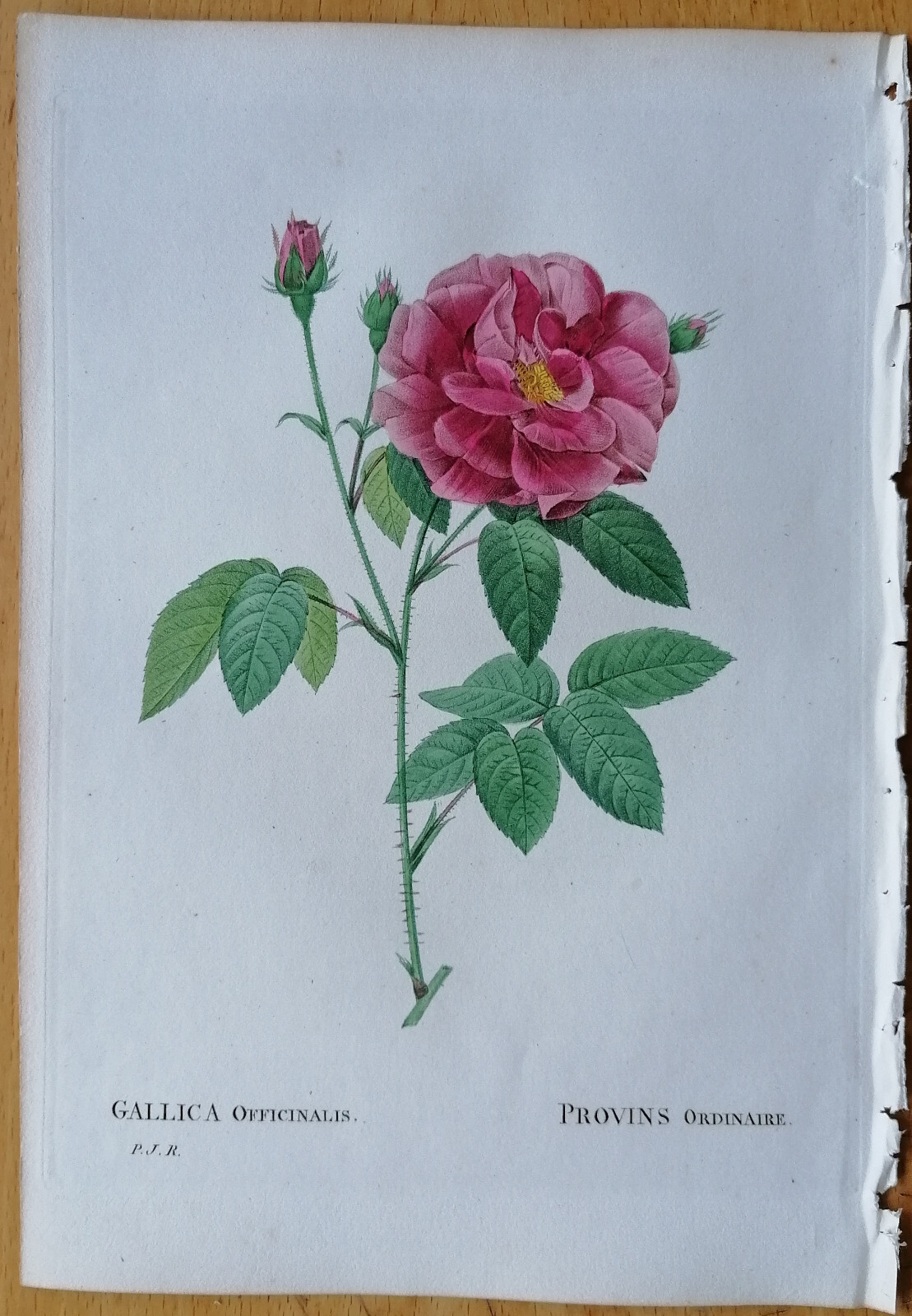 Bild 1 von 1