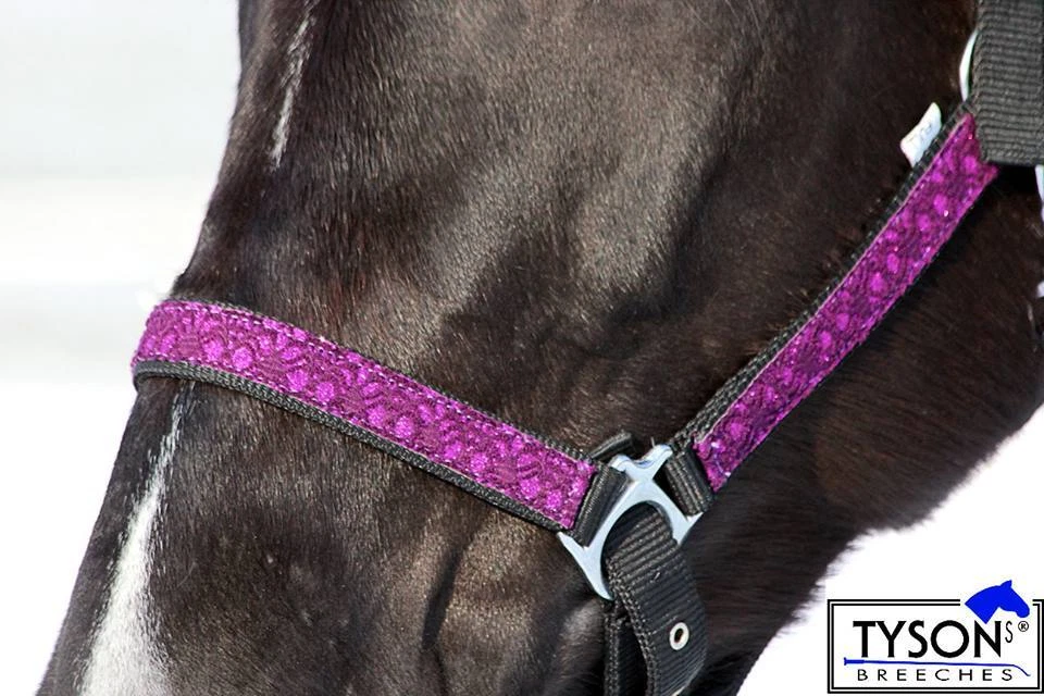 Halfter Nylo Glitzer Rot Lila Weiß Rosa MS S P VB WB Blink Glitzerhalfter Tysons - Bild 3 von 4