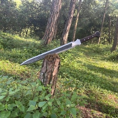 Custom Handmade Carbon Steel Blade Roman Gladius Sword | Hunting Sword | Camping