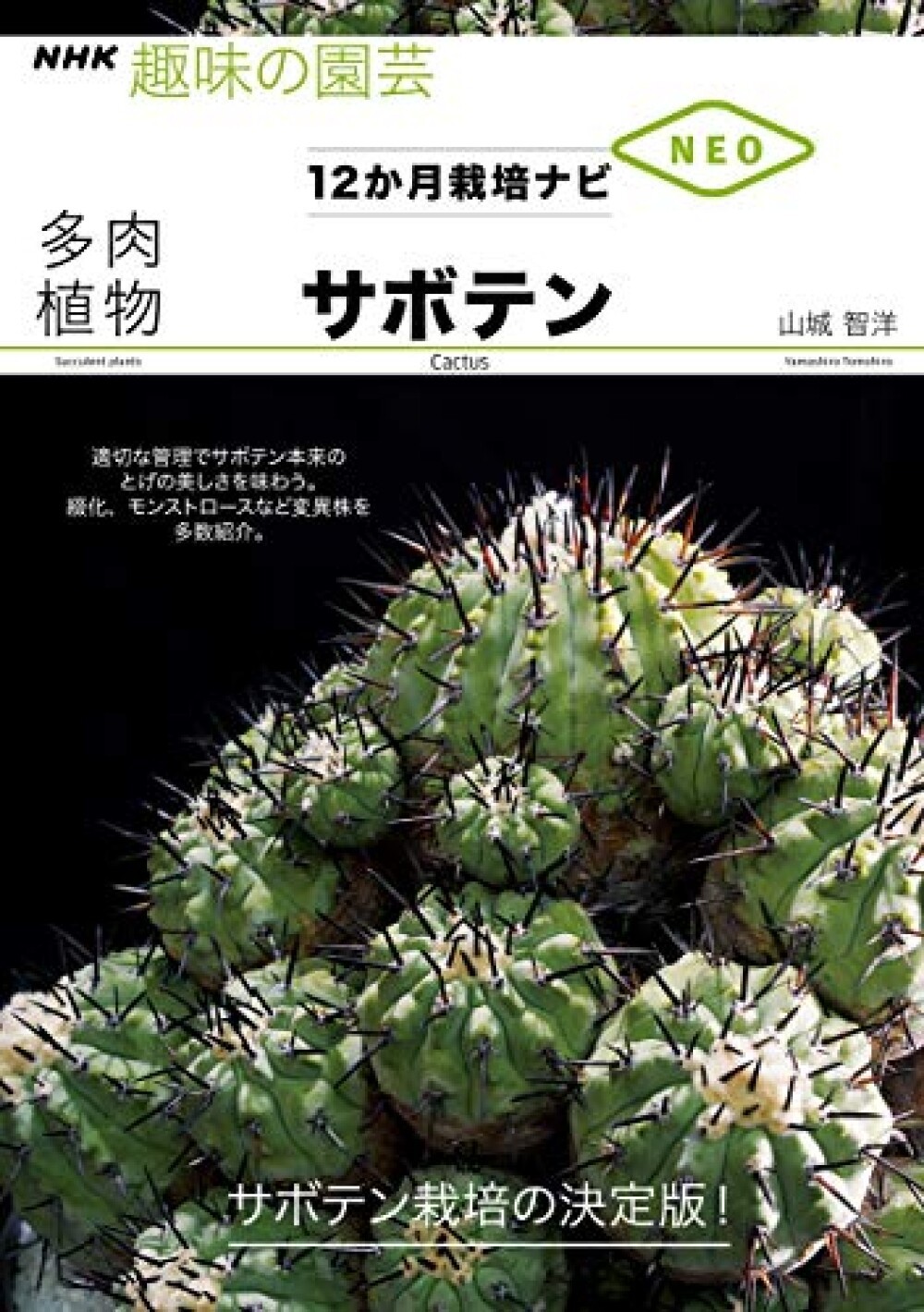 How To Grow Cactus For One Year Book Japan Succulent Plants Cultivation
