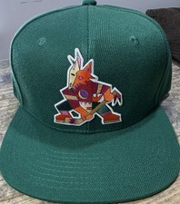 Arizona Coyotes Hat
