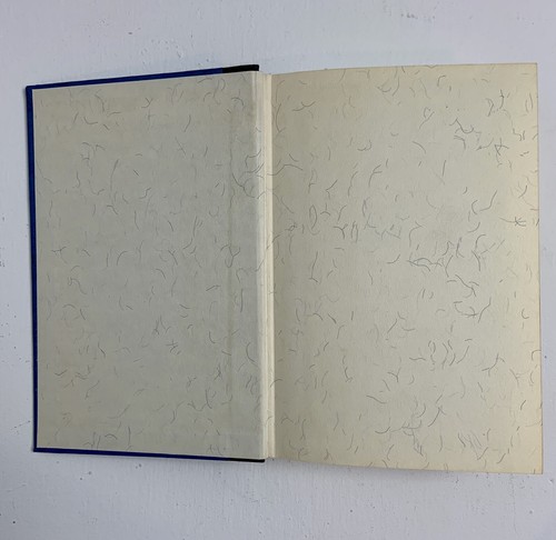 Another Helen by LANE KAUFFMAN Vintage Hardcover~1968~RARE READ DESCRIPTION - Imagen 7 de 12