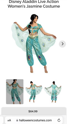 Aladdin Costume Princess Jasmine Costume Adults Plus Size Disguise