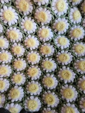 Vintage 3D Daisy Crocheted Lap Blanket 37 X 34” Thick Yarn Granny Core