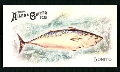 2025 Topps Allen & Ginter 50 Fish From Global Waters Bonito #FGW-44