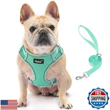 PUPTECK Dog Harness and Leash Set for Small Medium Dogs No Pull, Soft Mesh Ad