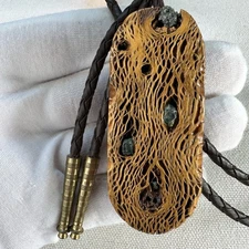 STUNNING CHOLLA CACTUS WITH CHRYSOCOLLA STONE FROM THE COPPER MINES OF ARIZONA