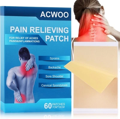 BRANDED Pain Relief Patches 60PCS, Arthritis Herbal Heat Patches for Back Knee Neck Sho