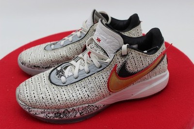 Nike LeBron 20,21,22,23 The Debut  SZ 8.5 LACE UP
