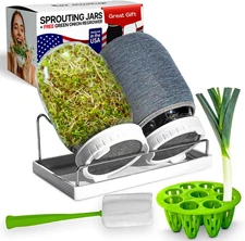 Premium Seed Sprouting Kit & Green Onion Regrower – 2 Wide-Mouth Mason Jars with