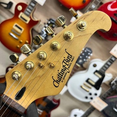Chatting Bird Stratocaster Type Red Electric Guitar | eBay