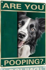 Tin Metal Signs Home D cor 8x12 Dog Border collie Are You Pooping Vintage Funny