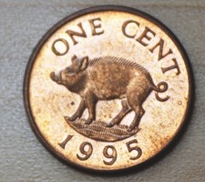 1995 Bermuda 1 Cent Wild Boar